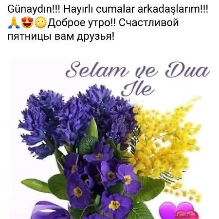аппартаменты * Алания